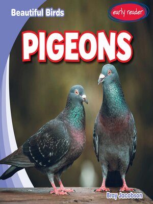 cover image of Pigeons